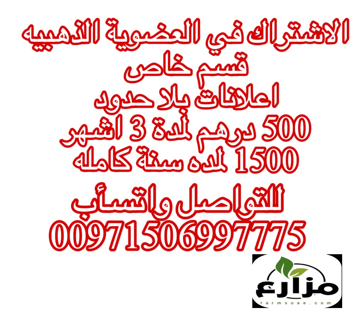 الاشتراك في العضوية الذهبية