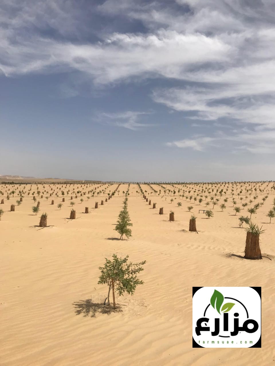 خدمات تصميم شبكات الري والاشراف على المزارع