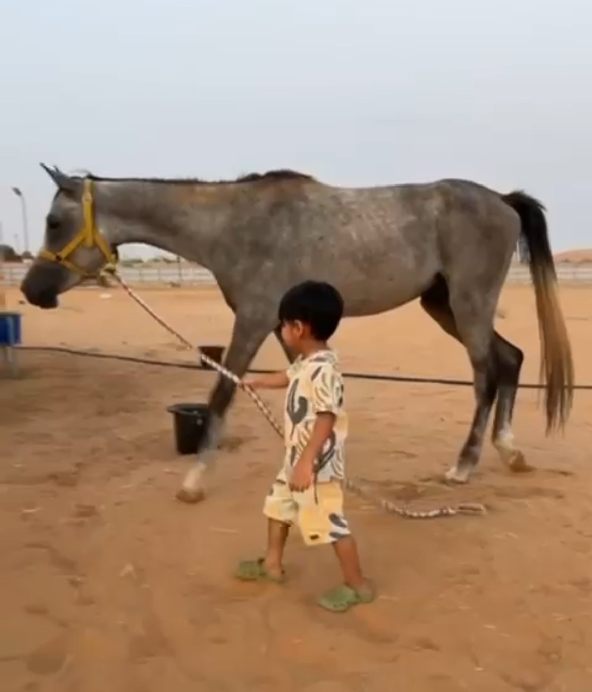 مهر عربي بدون جواز ب 2000 درهم