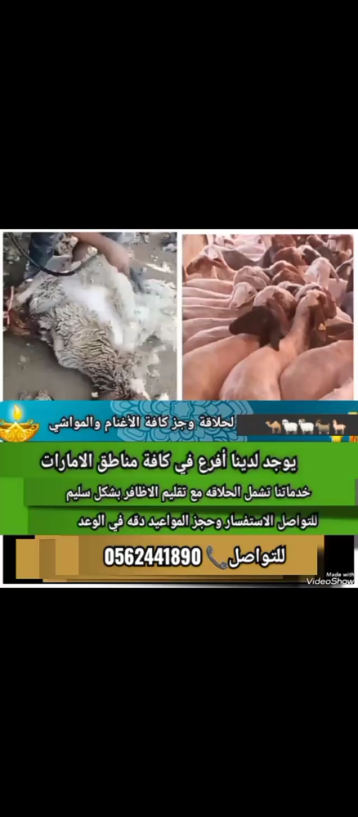 حلاقين حلال