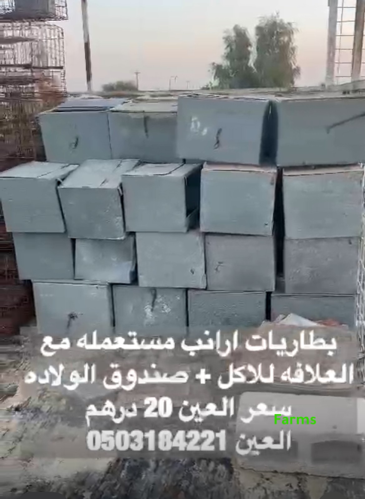 بطاريات ارانب للبيع
