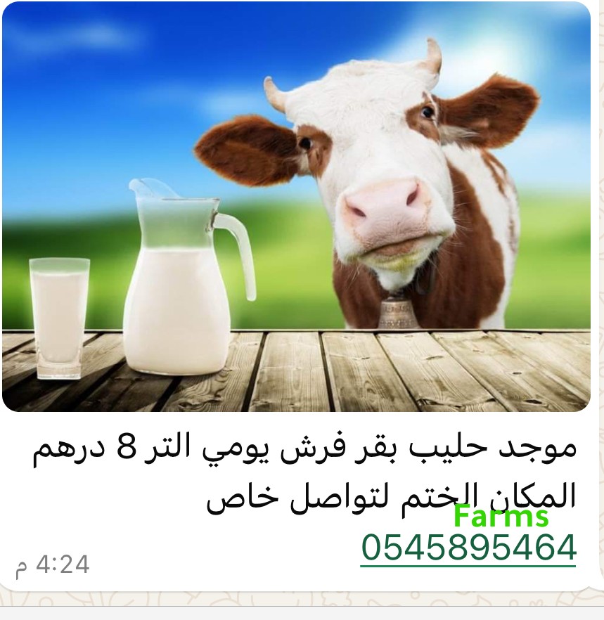 حليب طازج