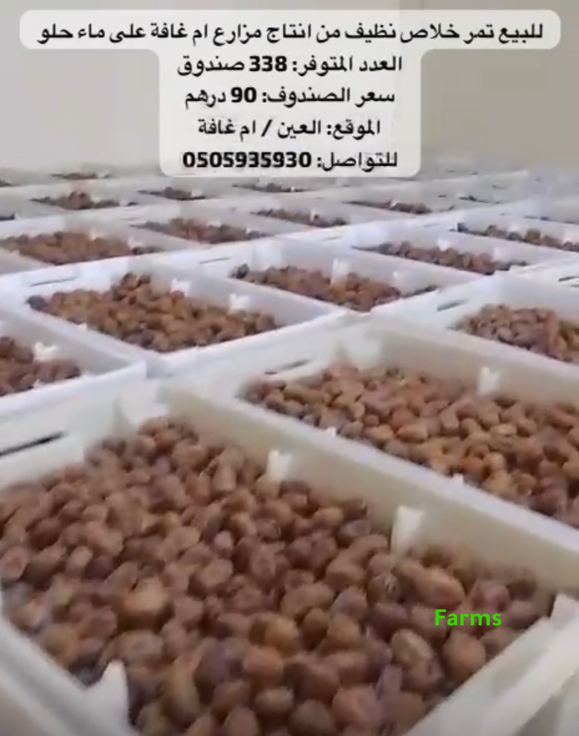 تمر خلاص نظيف