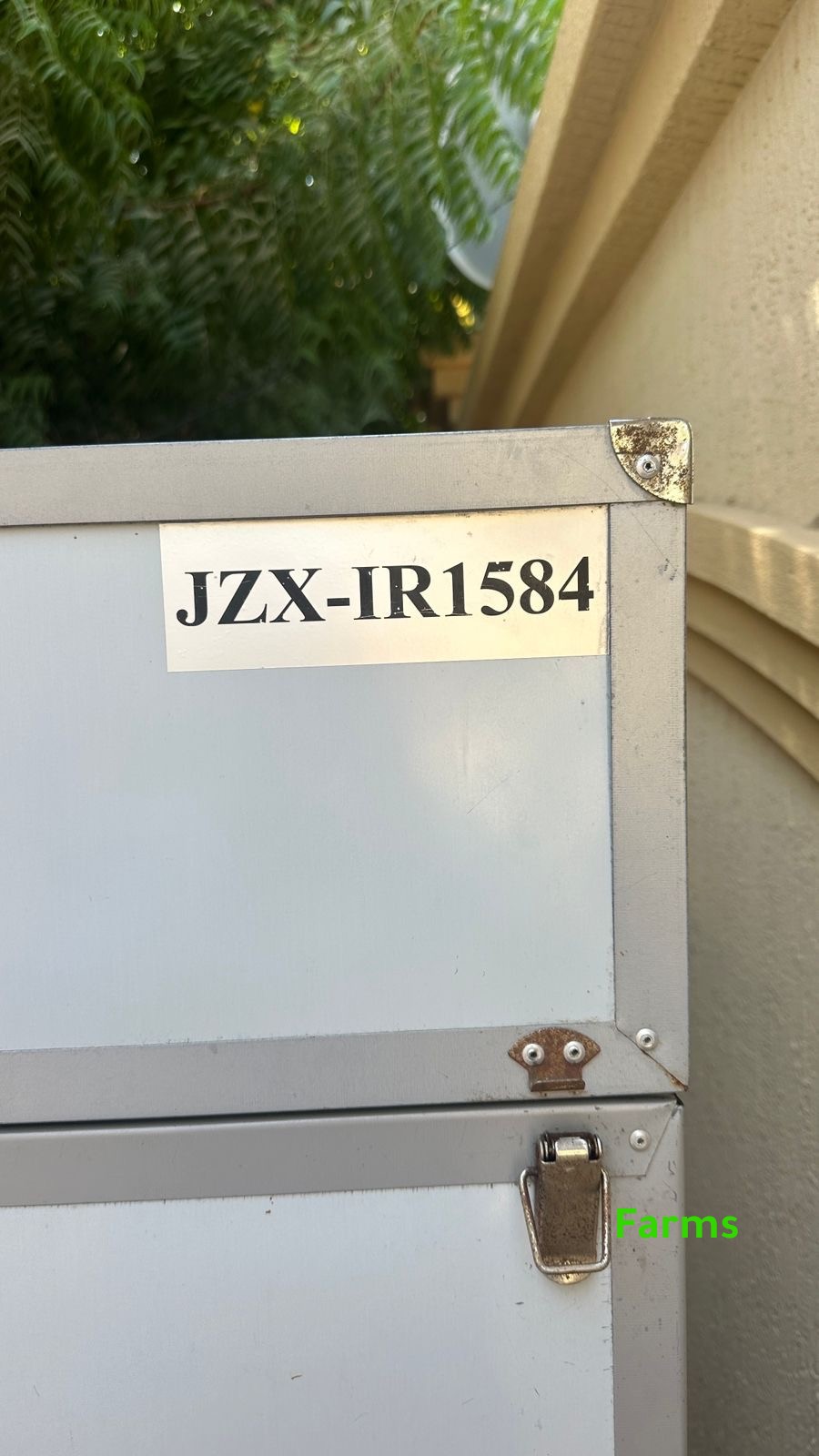 فقاصه 1586 بيضه للبيع