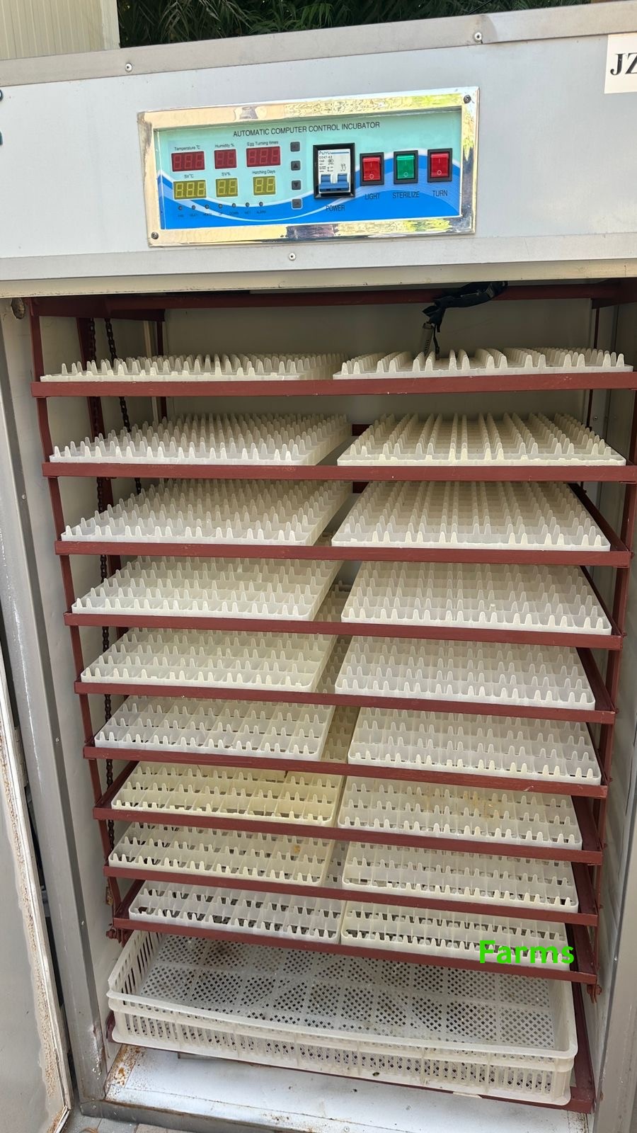 فقاصه 1586 بيضه للبيع