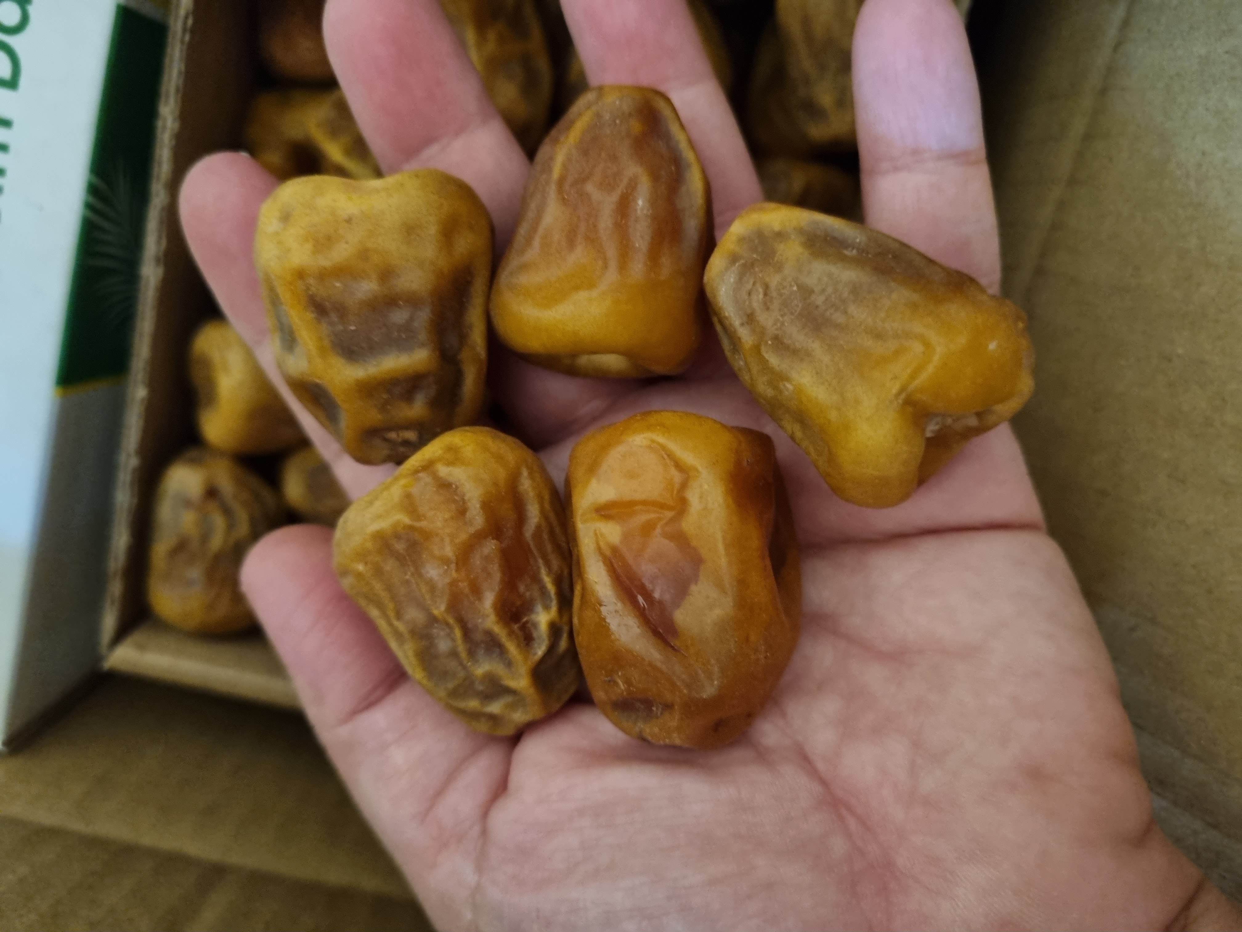 سكري مفتل ملكي الحبه جامبو 40 درهم