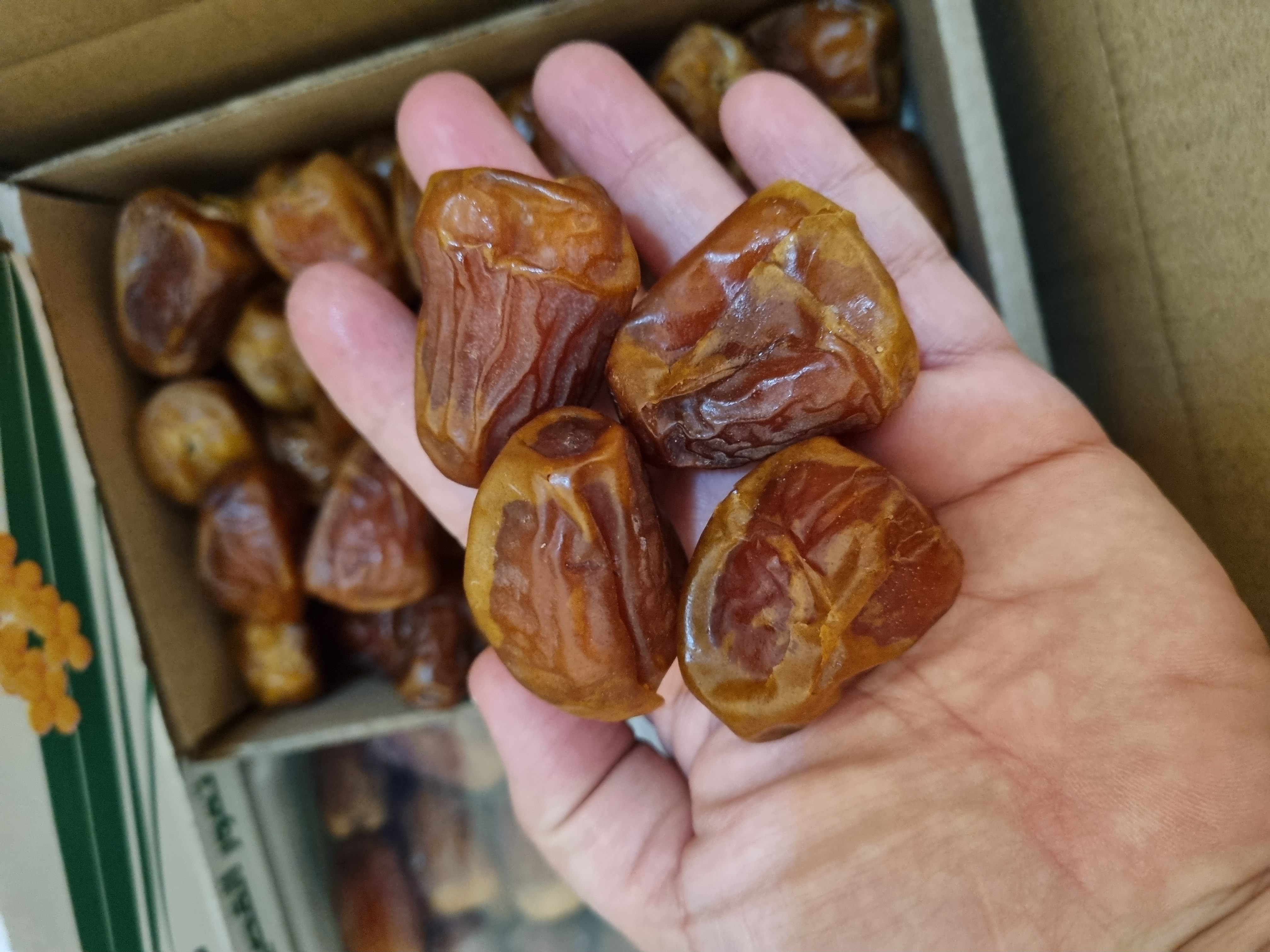 سكري جلكسي ملكي جامبو