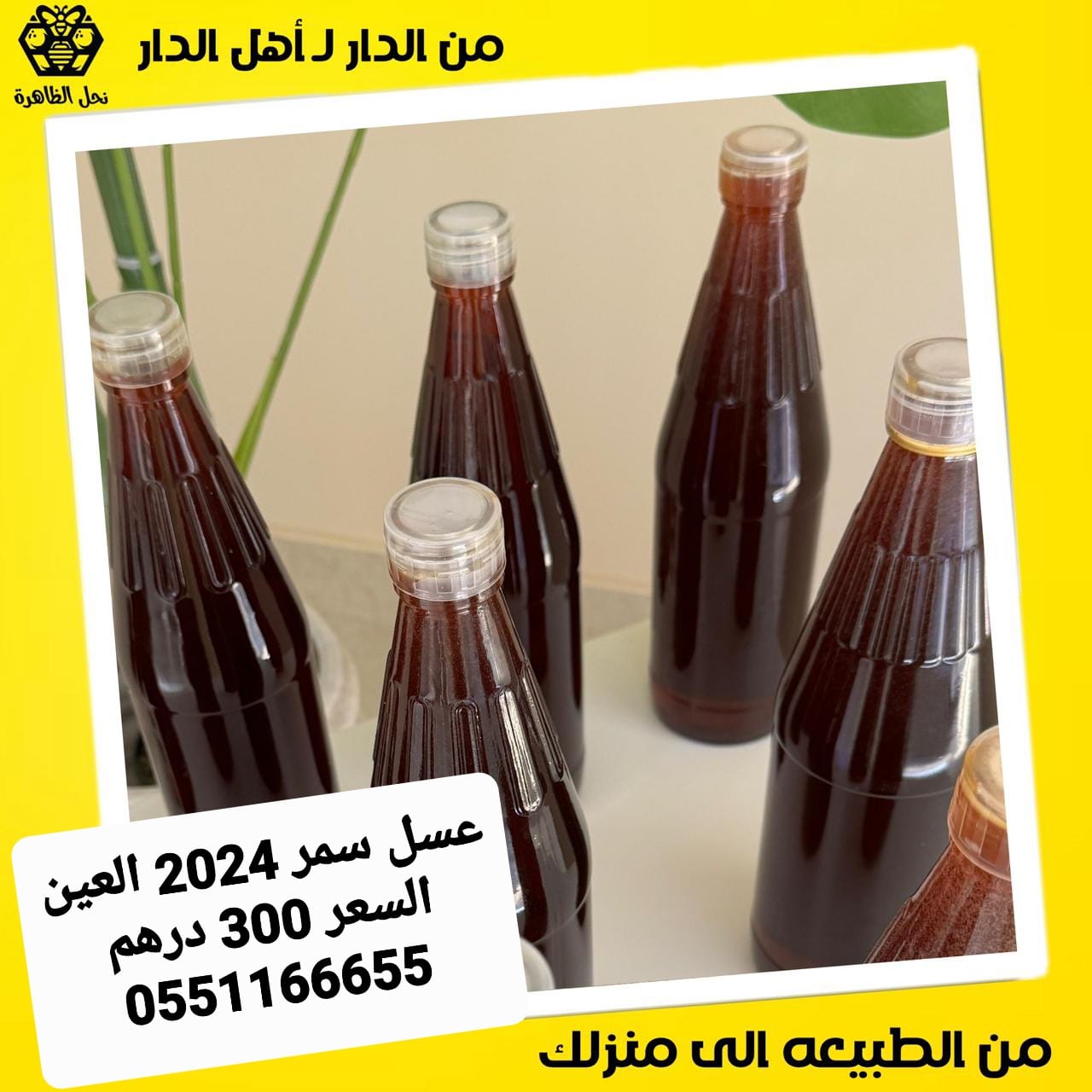 بيع  عسل نحل طبيعي إماراتي   و بيع نحل إماراتي  و بيع ملكات وطرود نحل إماراتي