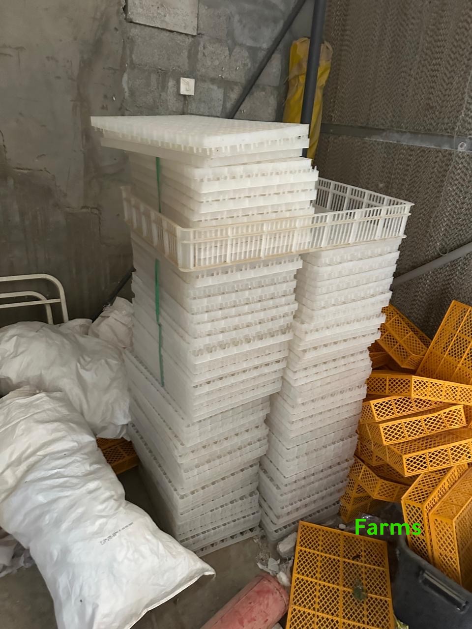 فقاسه 5200 بيضه لم تستخدم