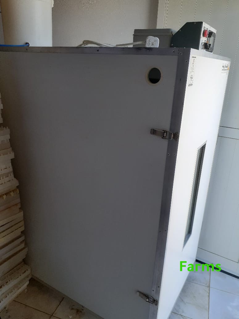 فقاسة الروضه 1584 بيضه