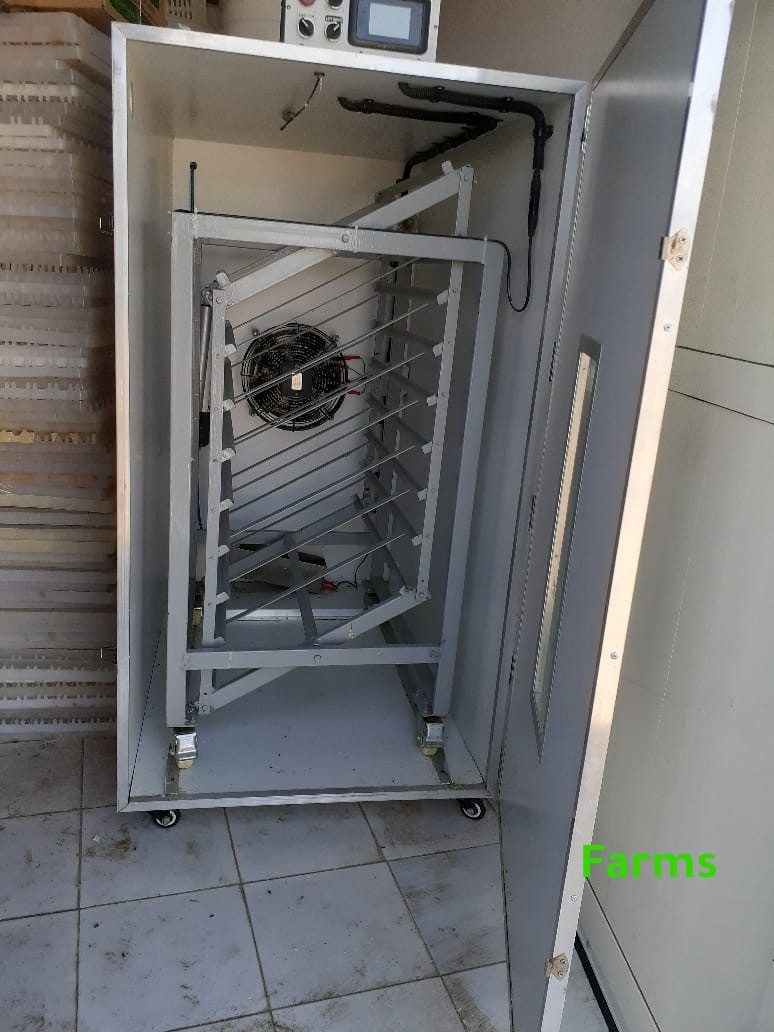 فقاسة الروضه 1584 بيضه