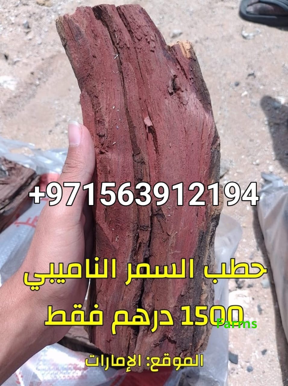حطب السمر النامبي