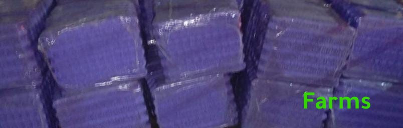 اطباق بيض كرتون فارغه