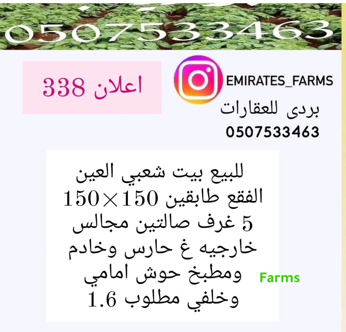 بيت شعبي في الفقع العين للبيع