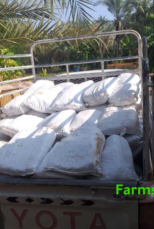 تمر نفيعه للحلال