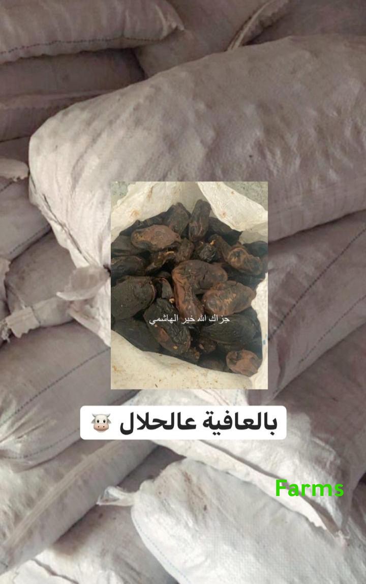 تمر نفيعه للحلال