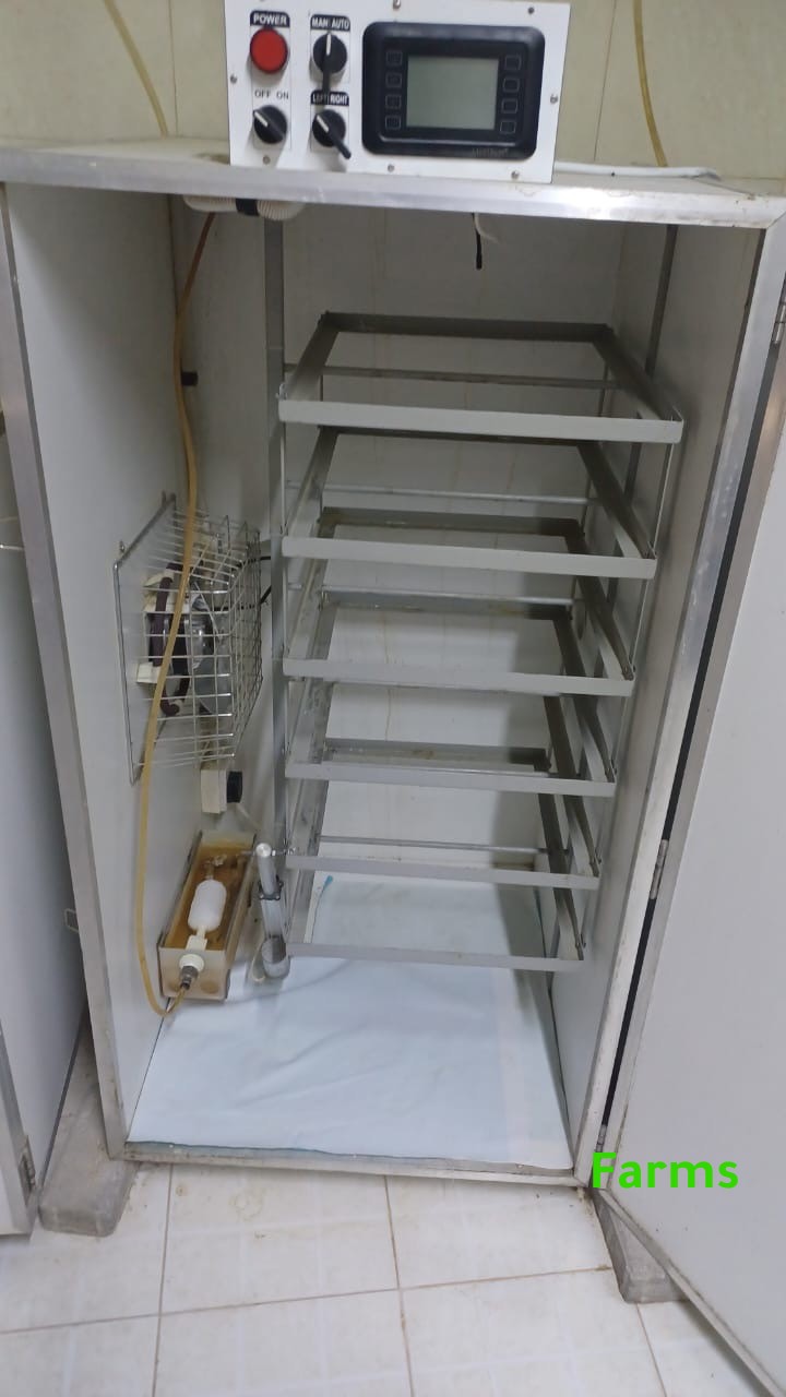 للبيع 4 فقاسات الروضه