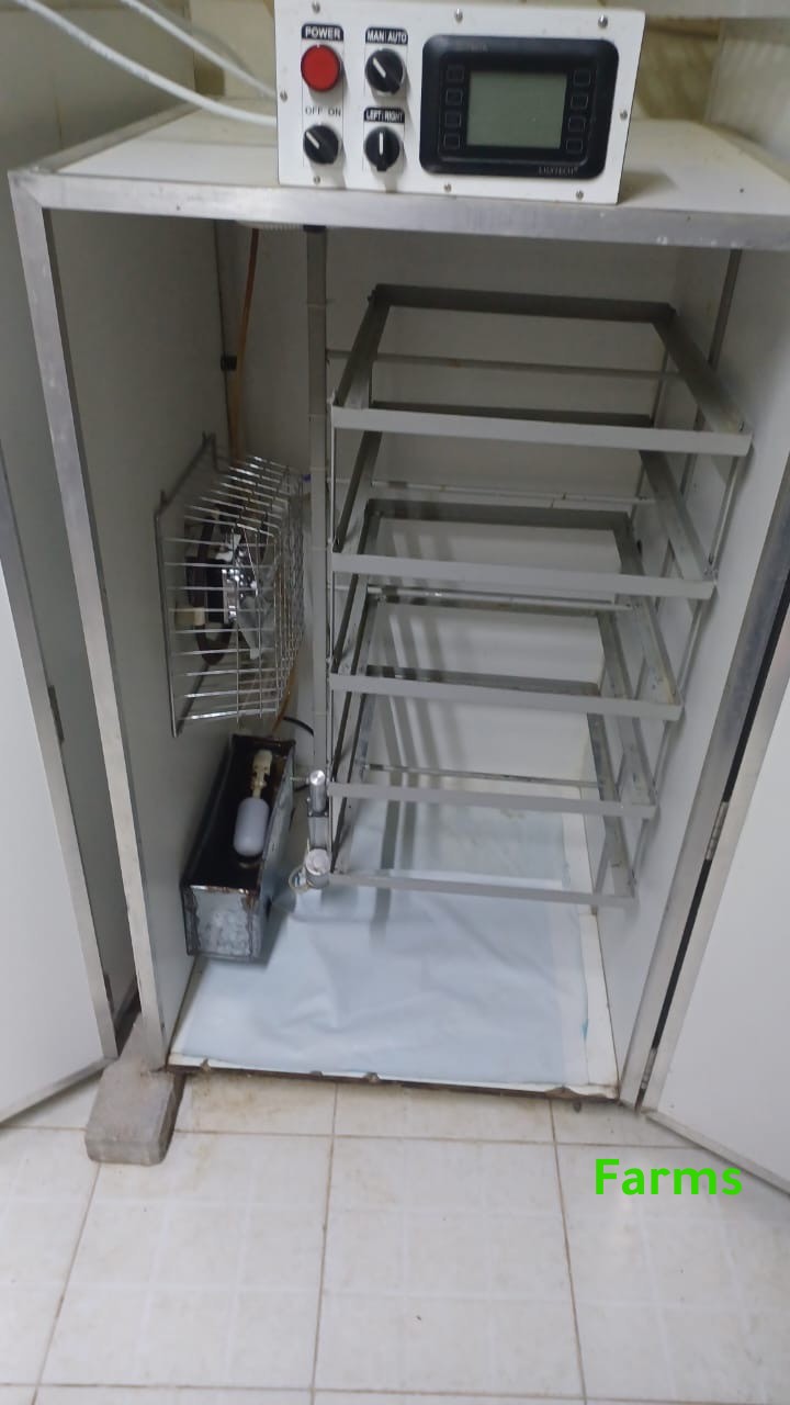 للبيع 4 فقاسات الروضه