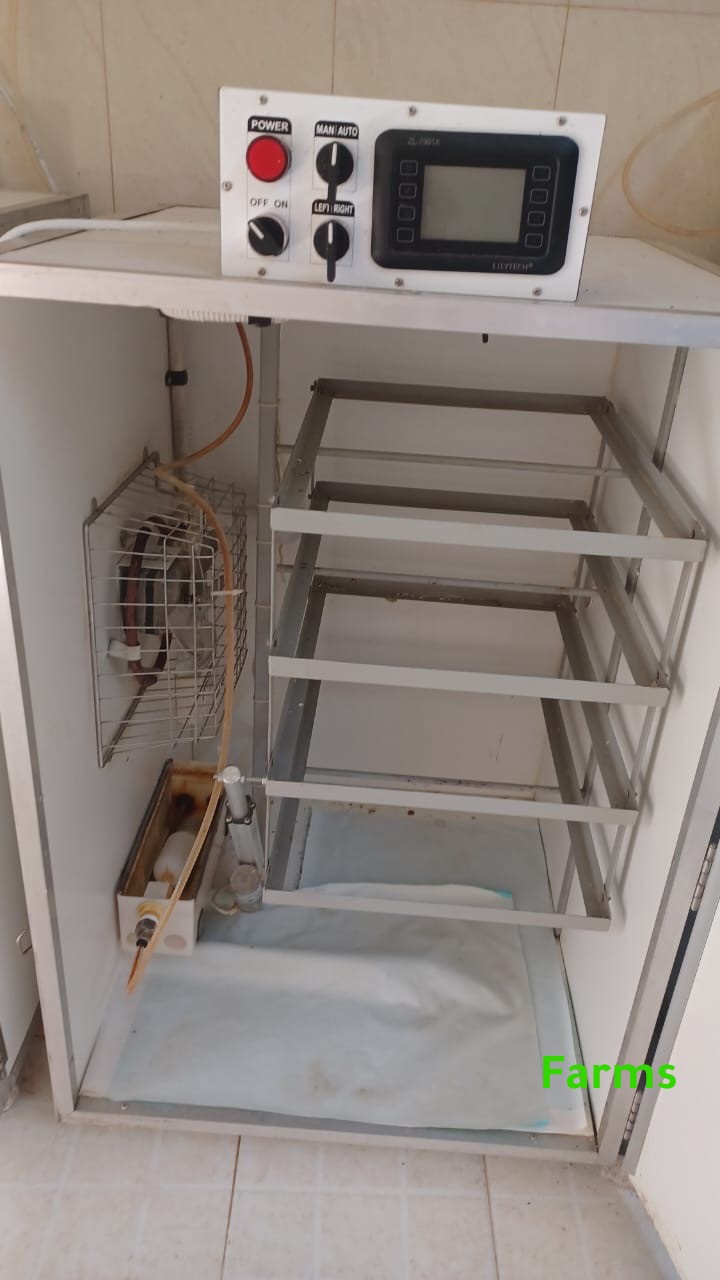 للبيع 4 فقاسات الروضه