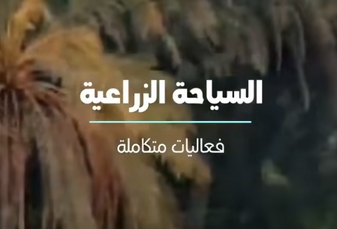 تصميم وتطوير المشاريع السياحية الزراعية