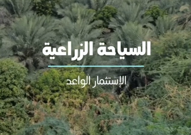 تصميم وتطوير المشاريع السياحية الزراعية