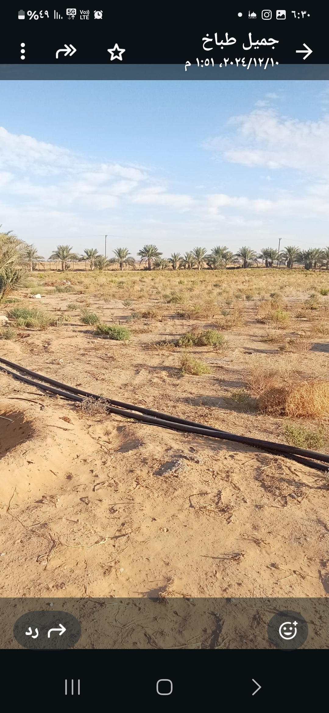 مزرعه فالعانكه للايجار