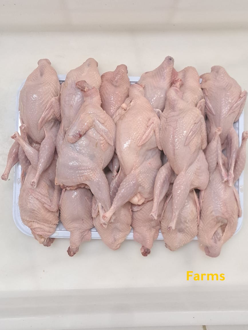 فري سمان مذبوح