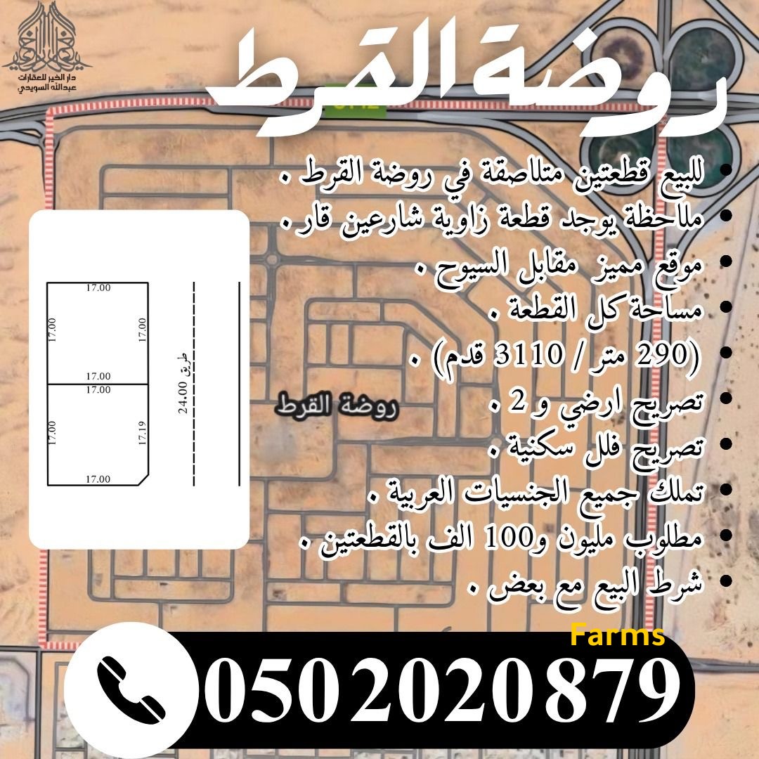 ارضين متلاصقات في روضه القرط في الشارجه