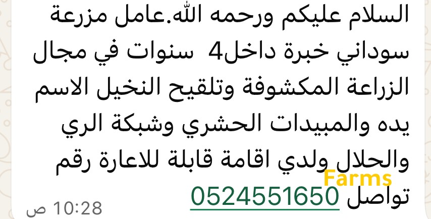 سوداني باحث عن عمل