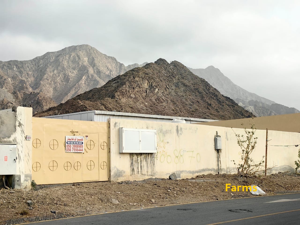 محلات للايجار في دبا الفجيره