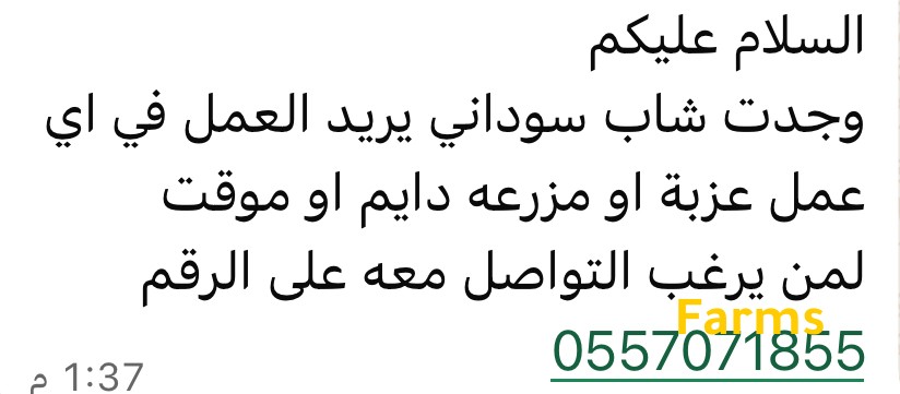 باحث عن عمل