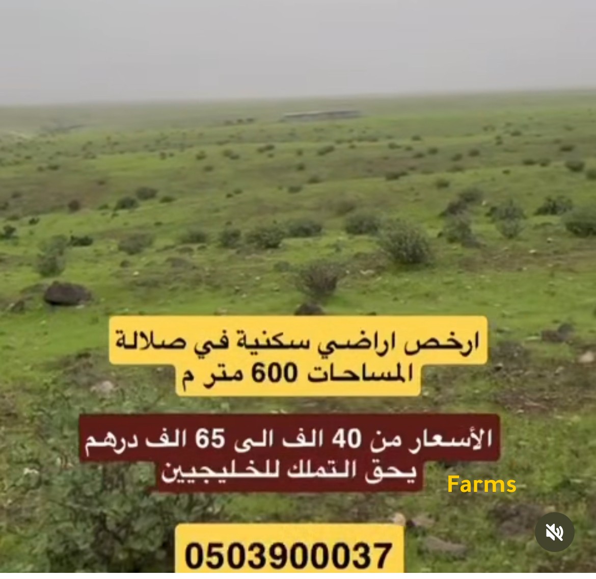 اراضي سكنيه في صلاله