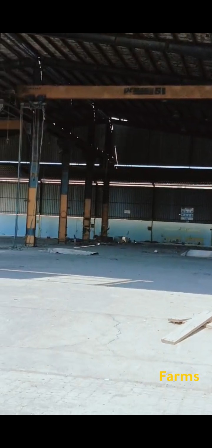 هيكل مصنع كامل للبيع