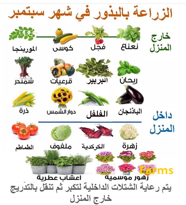 الزراعه في شهر سبتمبر