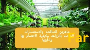 للإستشارات الزراعية والنقاشات
