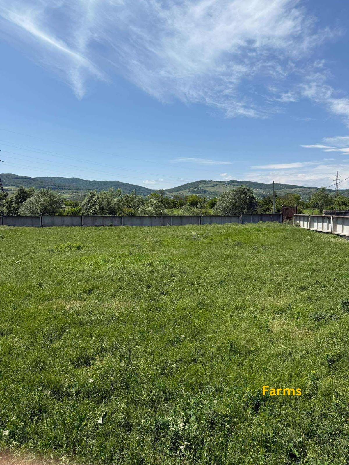 اراضي وعقارات في جورجيا