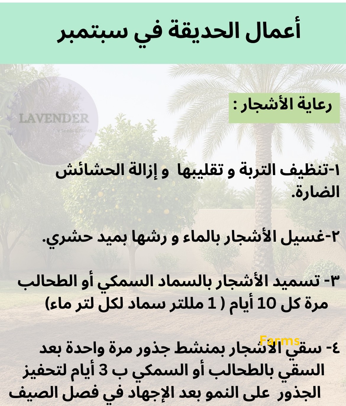 رعاية الاشجار في شهر سبتمبر