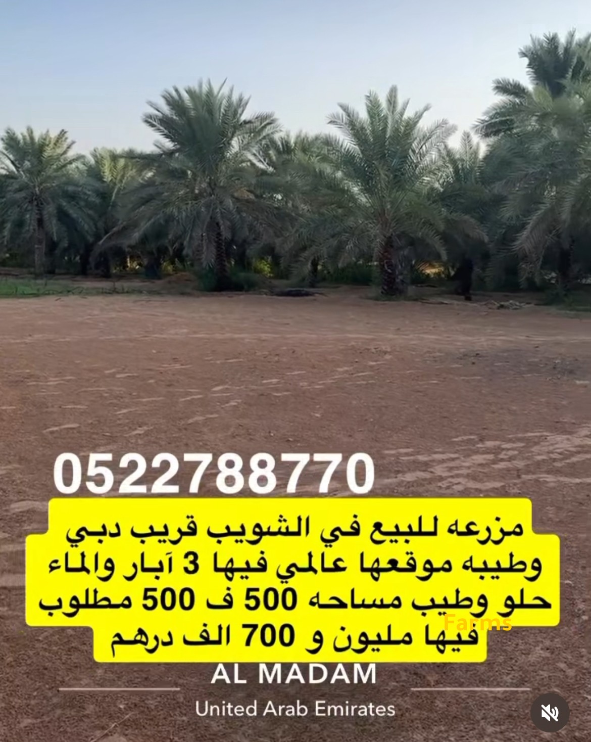 مزرعة للبيع في العين الشويب