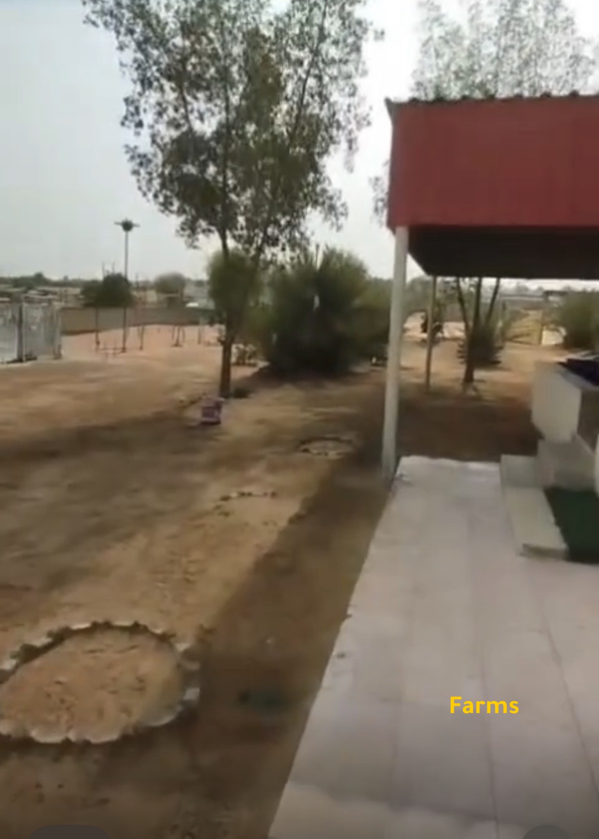 عزبه للبيع في العين ناهل جسر 16