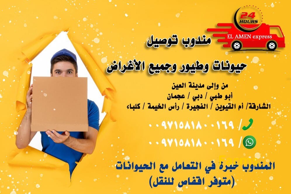 مندوب توصيل طيور وحيوانات