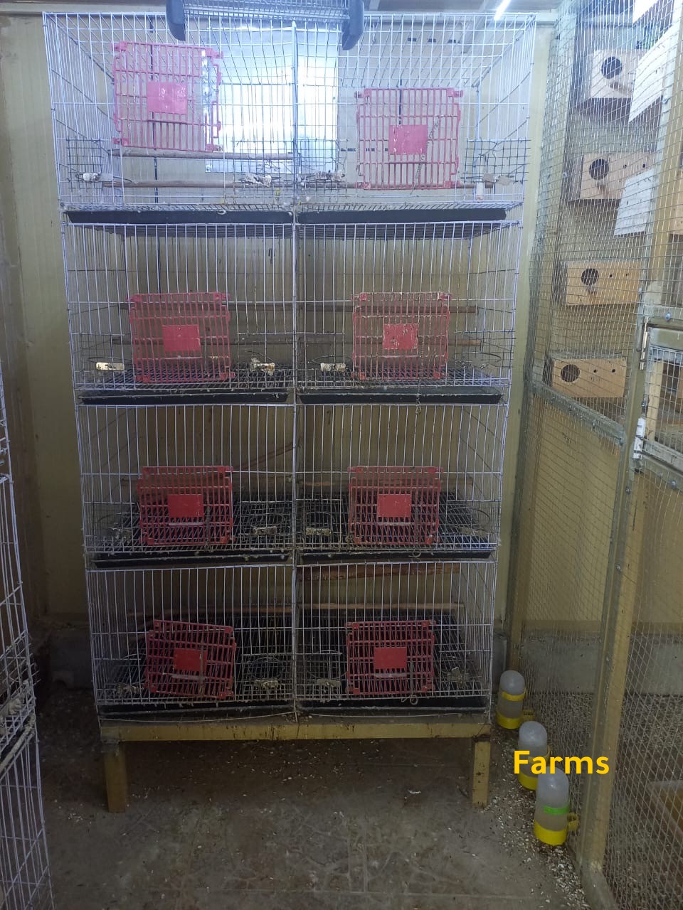 قفص 8 محاكر مستعمل