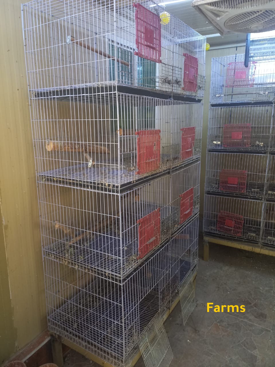 قفص 8 محاكر مستعمل