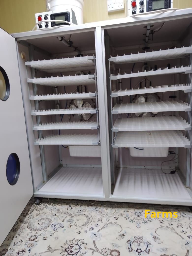 فقاسة الروضه 1056 بيضه