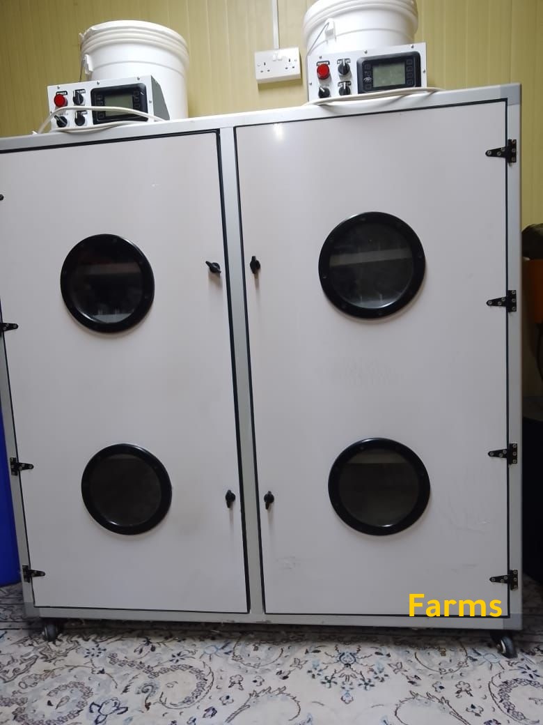 فقاسة الروضه 1056 بيضه