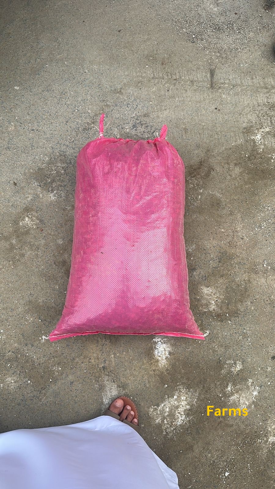 تمر نفيعه للبيع