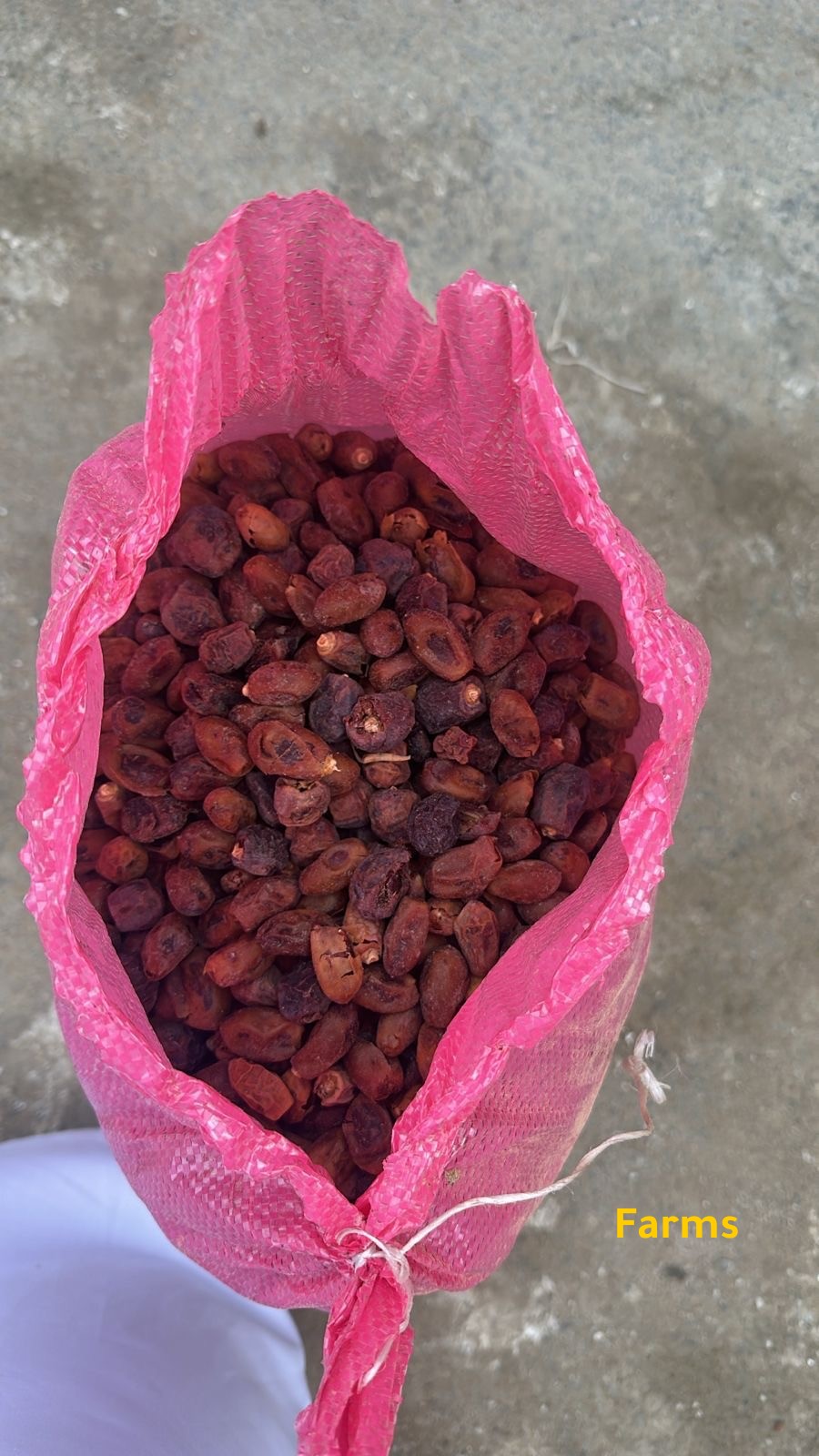 تمر نفيعه للبيع