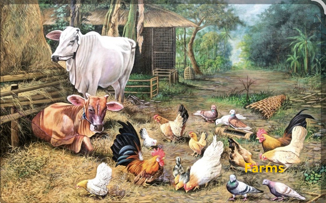 مزارع الامارات