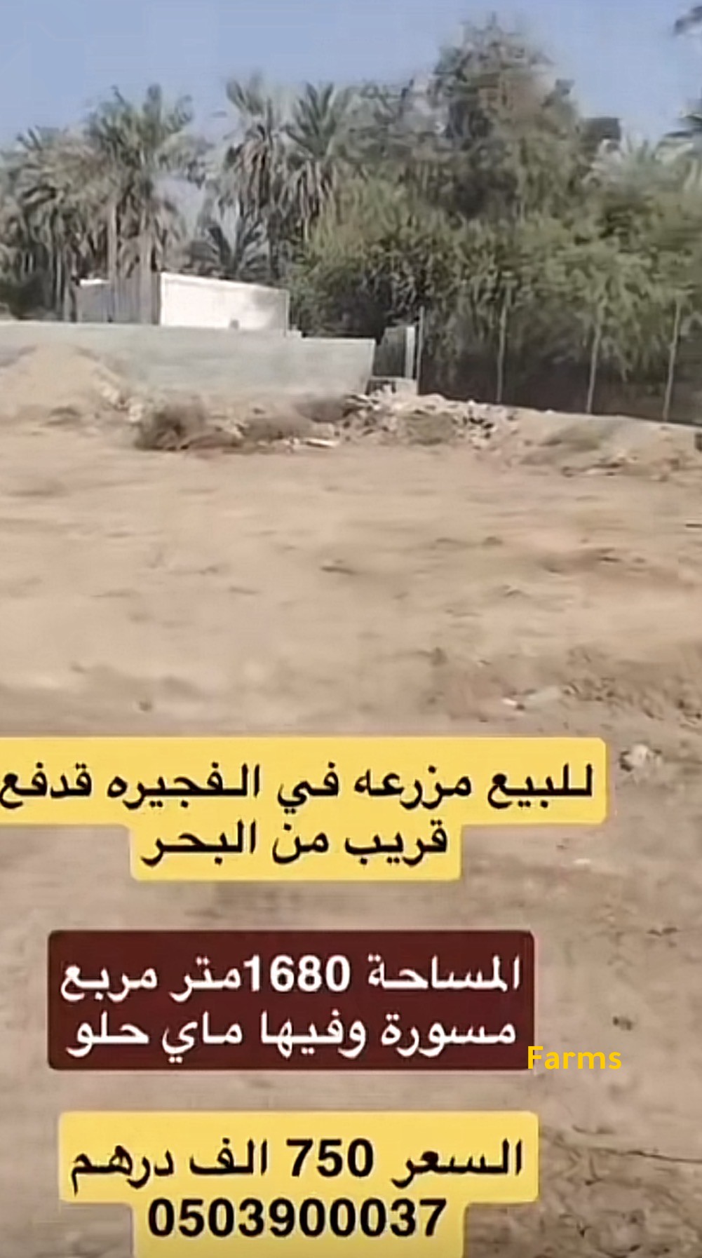 مزرعه للبيع في قدفع الفجيره