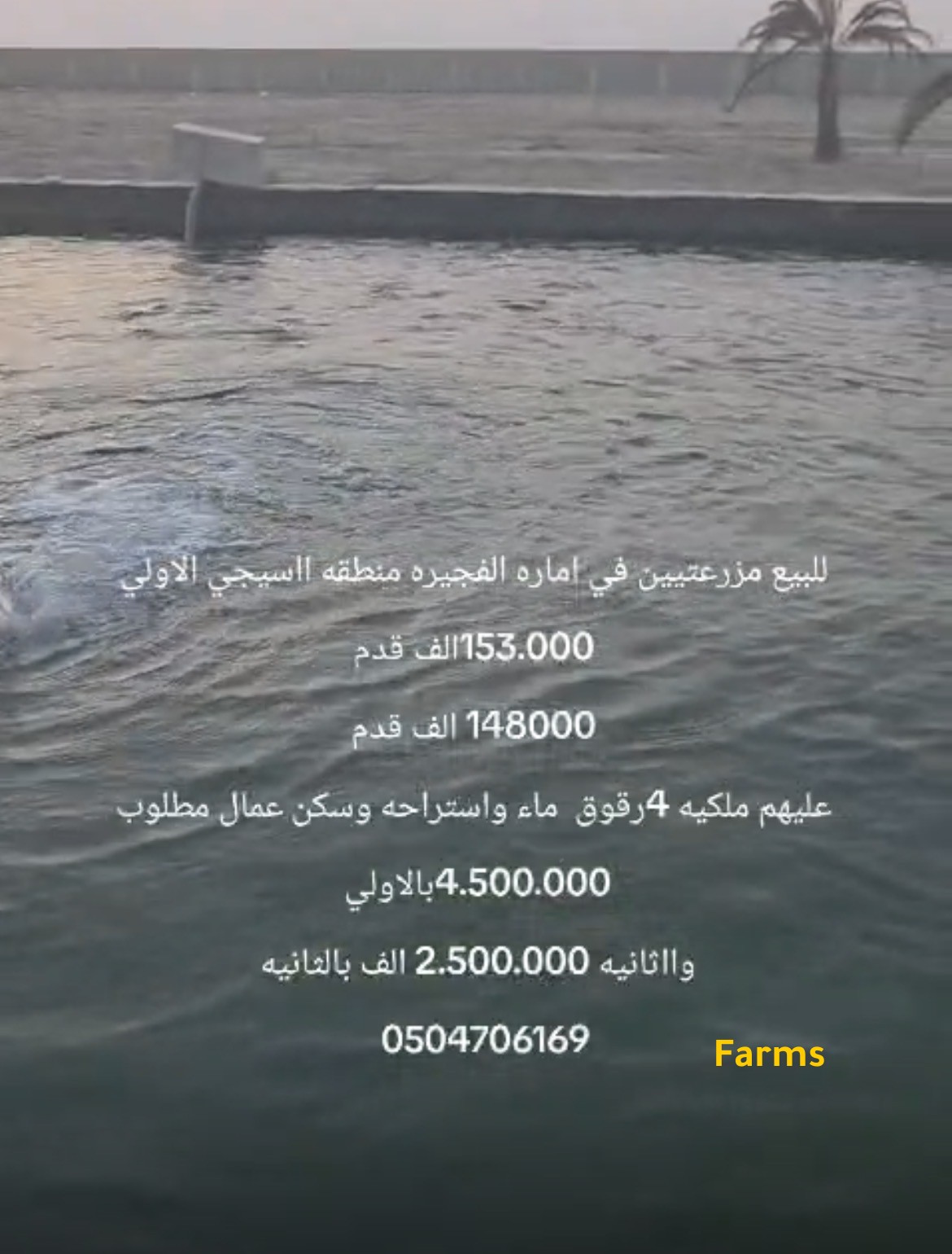 مزرعتين للبيع في سيجي الفجيره