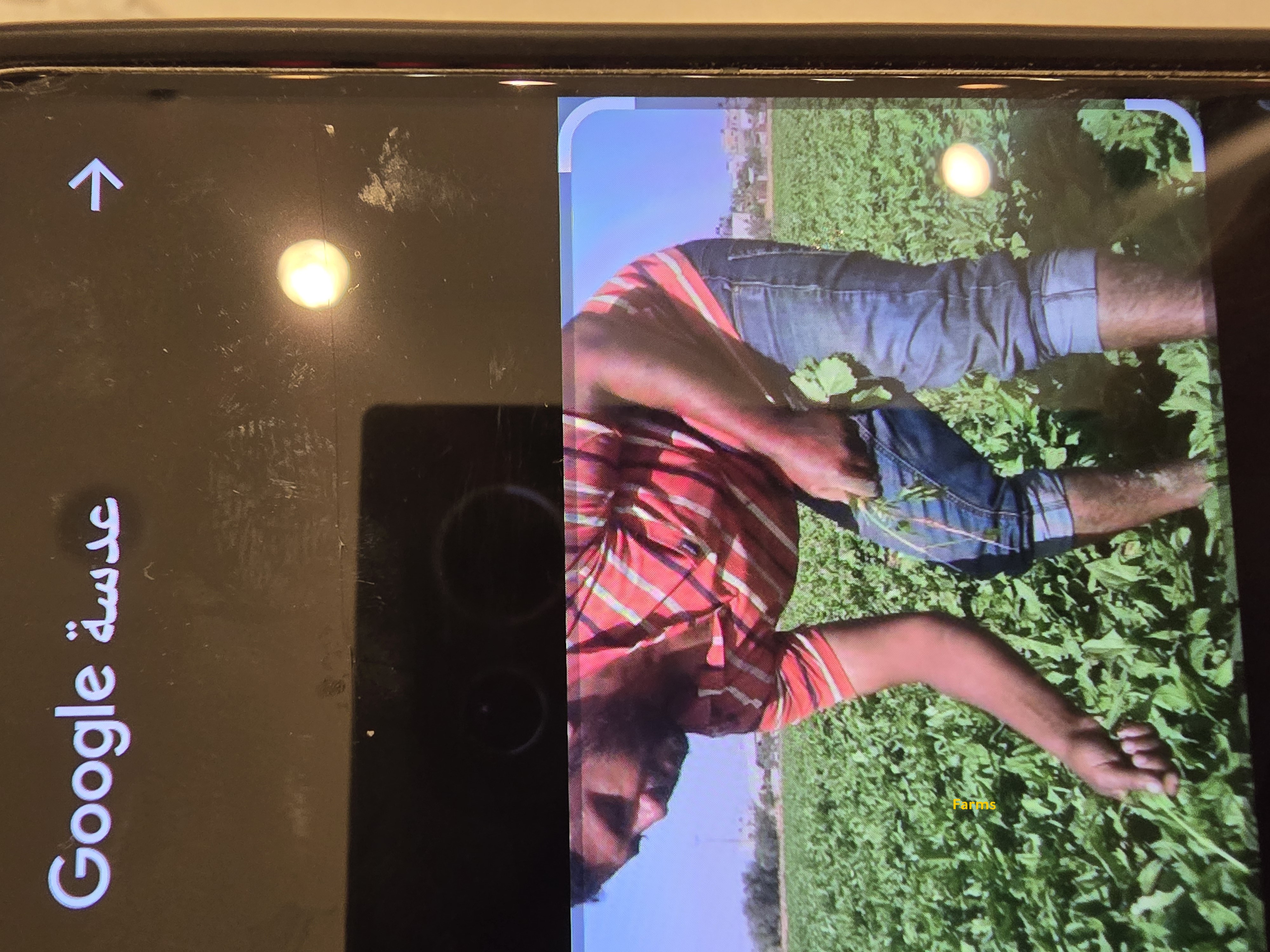 مطلوب مطلوب مطلوب مزراع مؤقت في ليوا